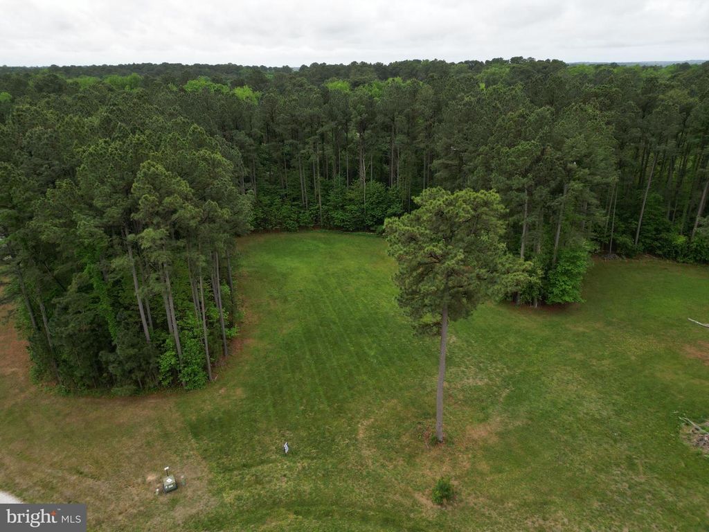 6002 BLUE HERON DRIVE, East New Market, MD 21631