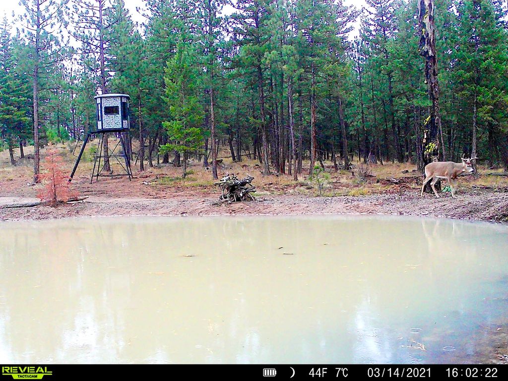 Image 25 of property listing at TBD TBD, Plains, MT 59859