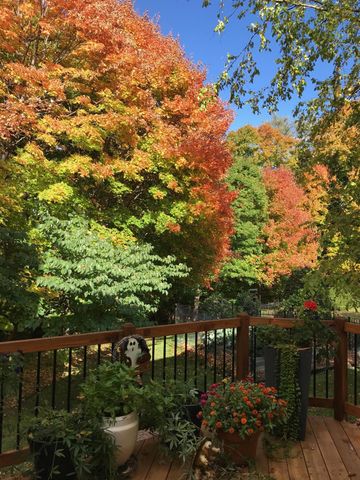 16506 78th Avenue N, Maple Grove, MN 55311