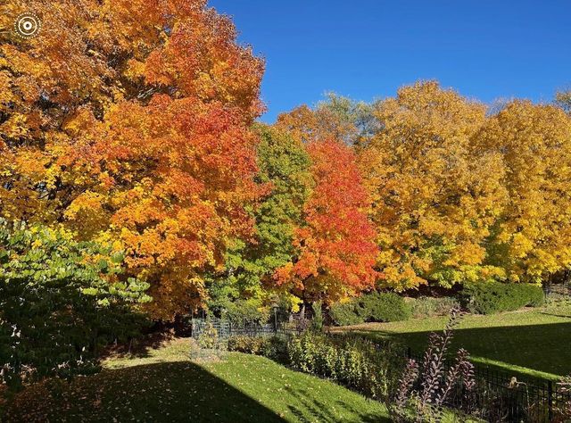 16506 78th Avenue N, Maple Grove, MN 55311