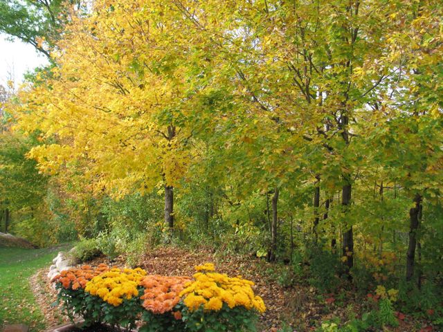 16506 78th Avenue N, Maple Grove, MN 55311