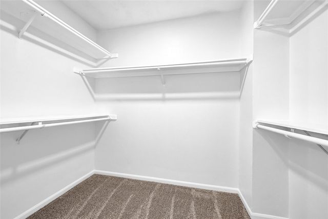 818 Lochnell Drive, Houston, TX 77062