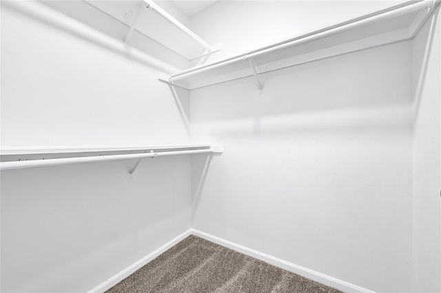 818 Lochnell Drive, Houston, TX 77062