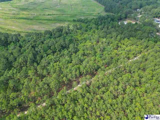 2384 Hwy 52 South, Cheraw, SC 29520