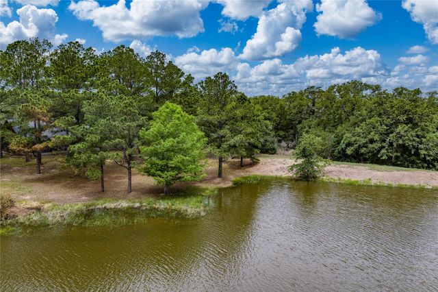 1555 Wildwood Road, Ledbetter, TX 78946