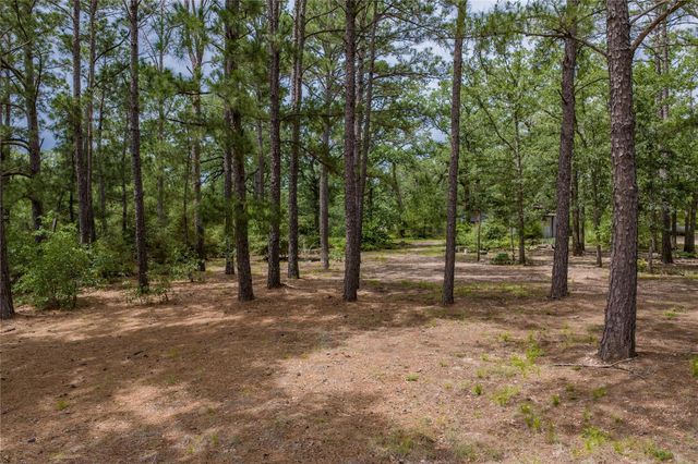 1555 Wildwood Road, Ledbetter, TX 78946