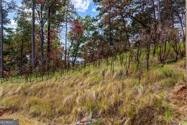 LOT 269 Canoe Way, Talking Rock, GA 30175