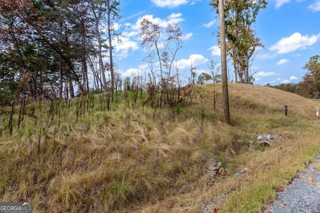 LOT 269 Canoe Way, Talking Rock, GA 30175
