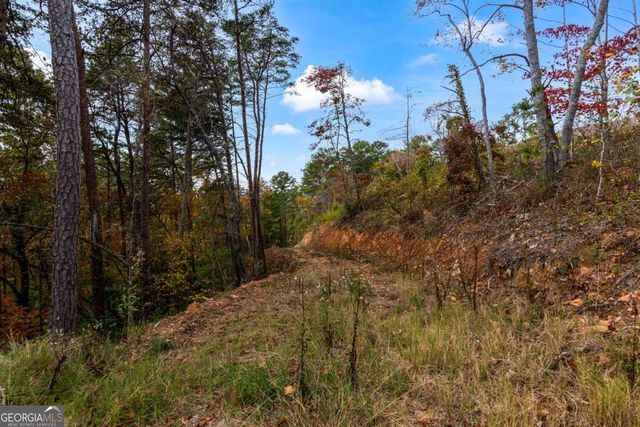 LOT 269 Canoe Way, Talking Rock, GA 30175