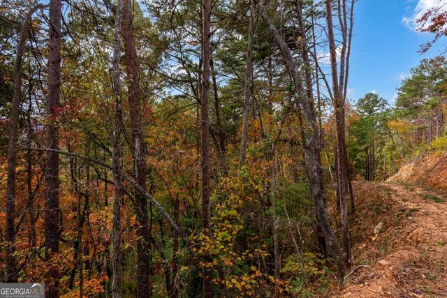 LOT 269 Canoe Way, Talking Rock, GA 30175