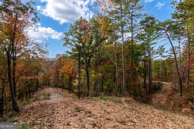 LOT 269 Canoe Way, Talking Rock, GA 30175