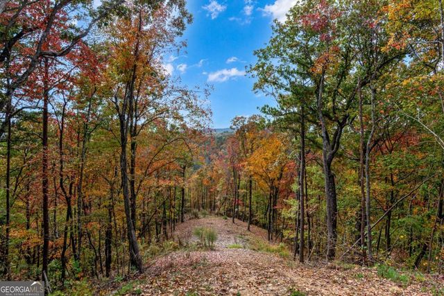 LOT 269 Canoe Way, Talking Rock, GA 30175