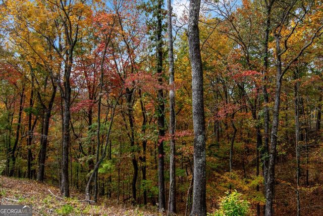 LOT 269 Canoe Way, Talking Rock, GA 30175