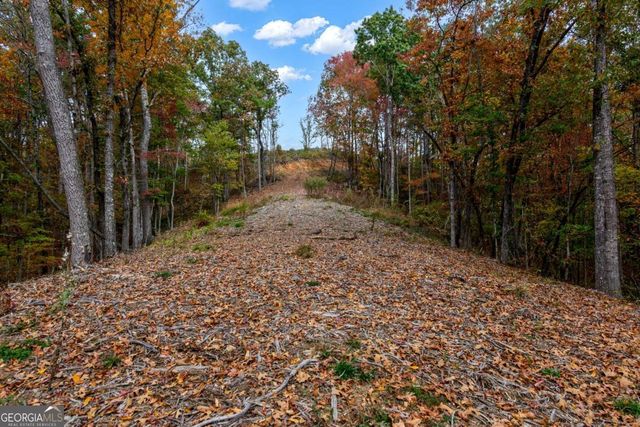 LOT 269 Canoe Way, Talking Rock, GA 30175