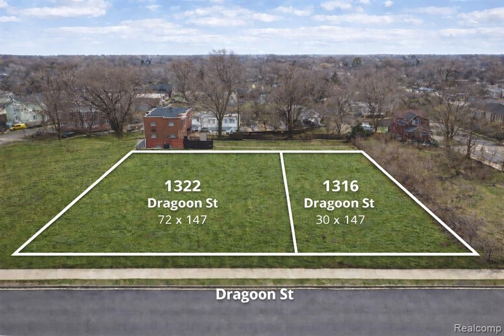 1322 Dragoon Street, Detroit, MI 48209