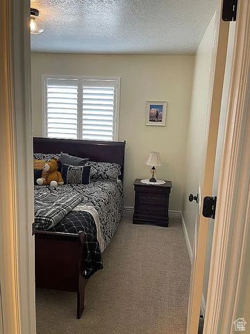 465 W 3860 S, Naples, UT 84078