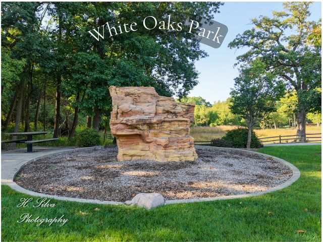 496 Oakhurst Lane, Carpentersville, IL 60110