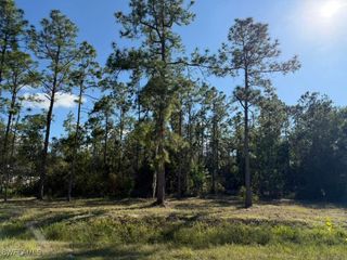 2596 56th AVE NE, Naples, FL 34120