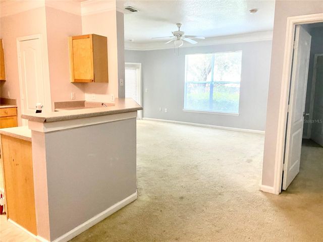 8848 VILLA VIEW CIRCLE 1, Orlando, FL 32821