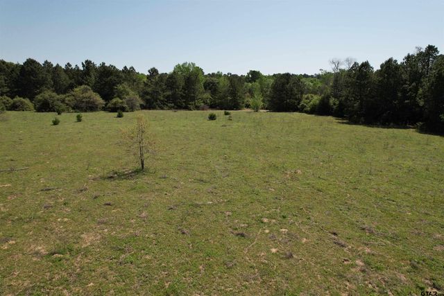 2954 CR 2170, Grapeland, TX 75844