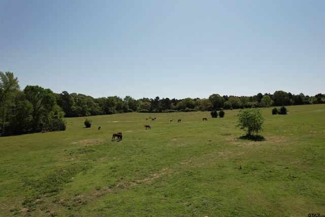 2954 CR 2170, Grapeland, TX 75844