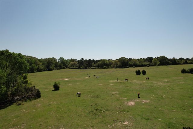 2954 CR 2170, Grapeland, TX 75844