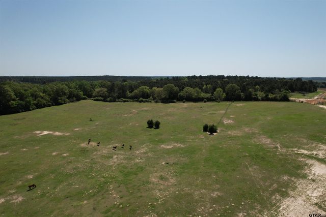 2954 CR 2170, Grapeland, TX 75844