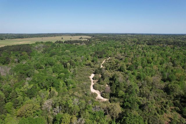 2954 CR 2170, Grapeland, TX 75844