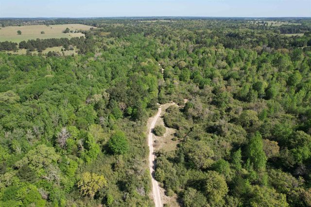 2954 CR 2170, Grapeland, TX 75844