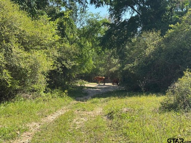 2954 CR 2170, Grapeland, TX 75844