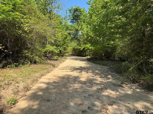 2954 CR 2170, Grapeland, TX 75844