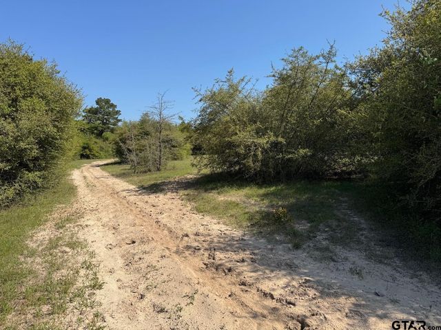 2954 CR 2170, Grapeland, TX 75844