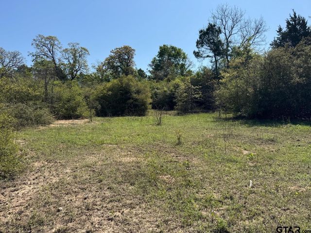 2954 CR 2170, Grapeland, TX 75844