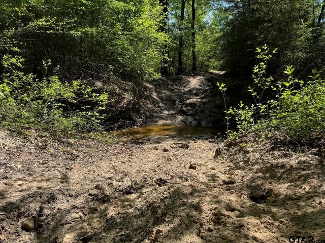 2954 CR 2170, Grapeland, TX 75844
