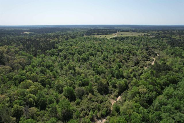 2954 CR 2170, Grapeland, TX 75844