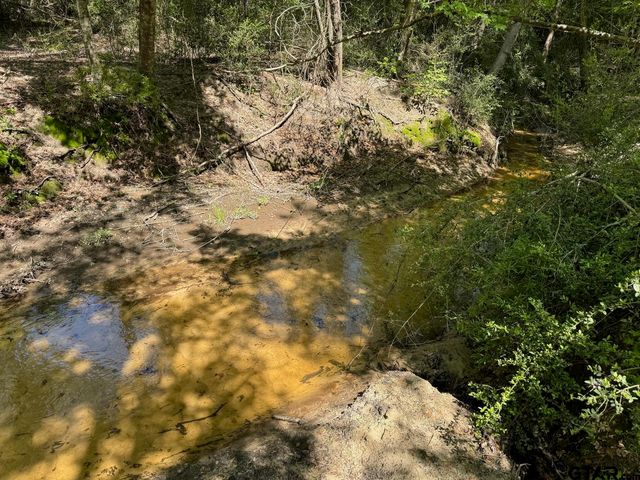 2954 CR 2170, Grapeland, TX 75844