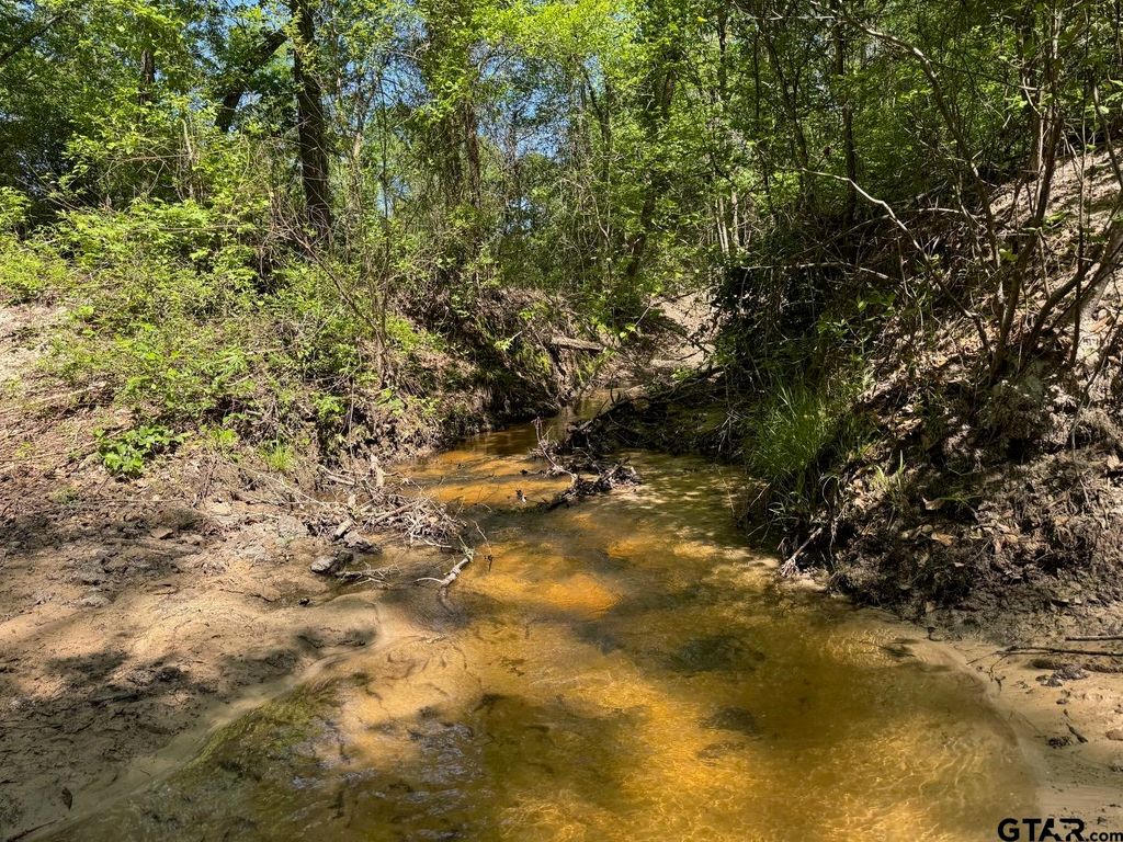 2954 CR 2170, Grapeland, TX 75844