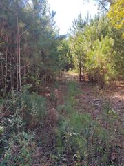 00 Joe Robertson Road, Rocky Face, GA 30740