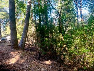 17325 Fernbrook, Middletown, CA 95461