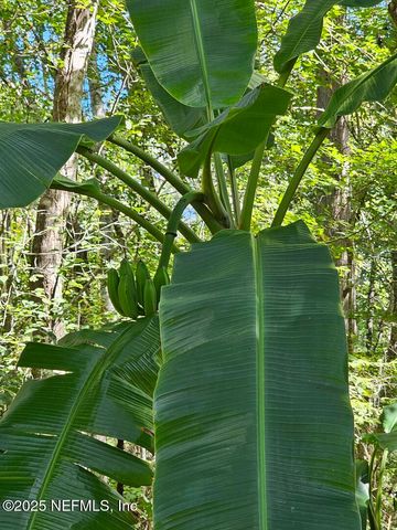 2061 HARVARD Street, Middleburg, FL 32068