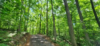 0 MagaMor Dr, Lafayette, TN 37083