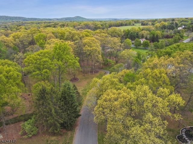 4 Flintlock Rd, Readington Twp., NJ 08822