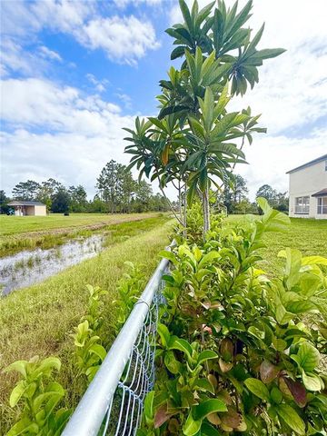 18744 SABAL STREET, Orlando, FL 32833