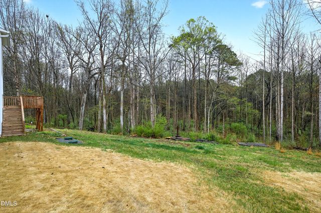 1000 Panther Springs Court, Raleigh, NC 27603