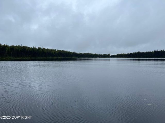 21485 E Quarah Lake Avenue, Talkeetna, AK 99676