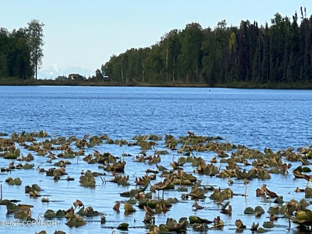 21485 E Quarah Lake Avenue, Talkeetna, AK 99676