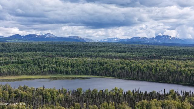 21485 E Quarah Lake Avenue, Talkeetna, AK 99676