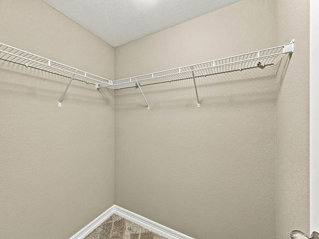 6500 Agave Avenue, Castle Rock, CO 80108