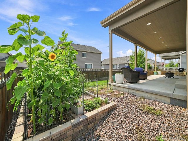 6500 Agave Avenue, Castle Rock, CO 80108