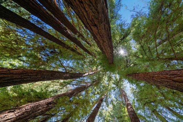 560 Hacienda Drive, Scotts Valley, CA 95066